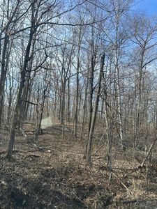 Birchcurve Rd, Cushing, MN, 56443