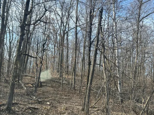 Birchcurve Rd, Cushing, MN 56443