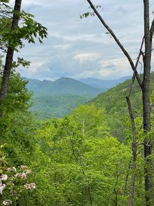 LOT 4 Butternut Rdg, Bryson City, NC, 28713