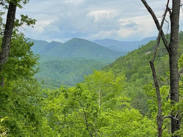LOT 4 Butternut Rdg, Bryson City, NC 28713