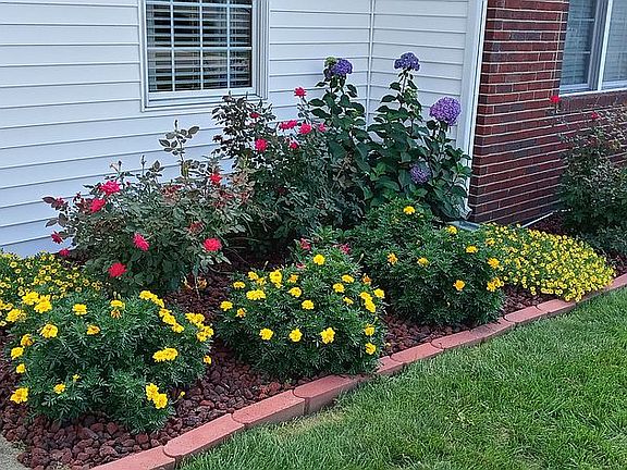 last yrs flower look