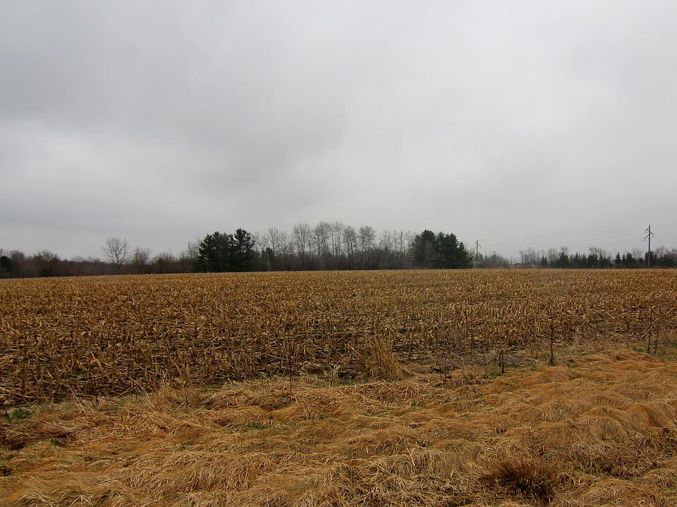 2nd image of West Ave