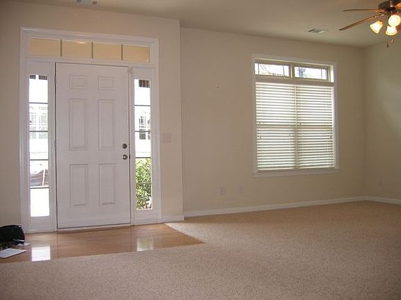 Open Plan - Natural Light