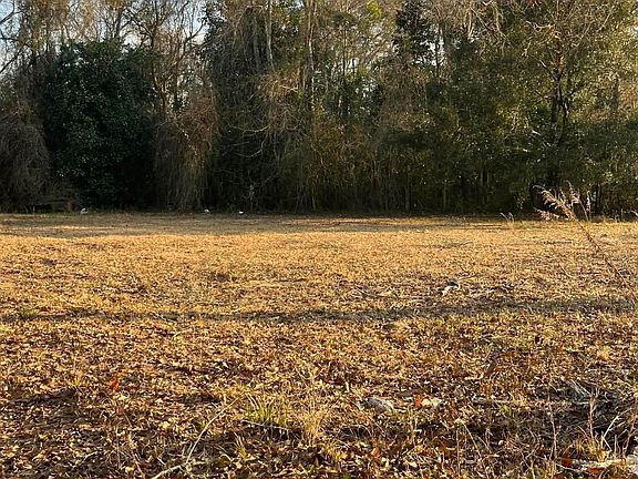 2nd image of 807 Daphne Rd