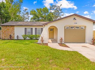 11308 Sagamore St, Spring Hill, FL 34609