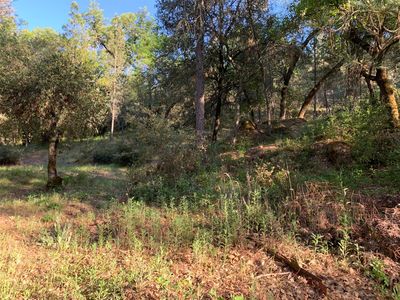 41 Happy Valley Rd, Somerset, CA, 95684