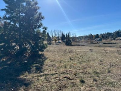 10258 Holtzel Rd, Coulterville, CA, 95311