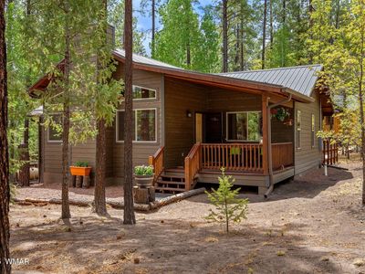 2 County Road 2069, Alpine, AZ, 85920