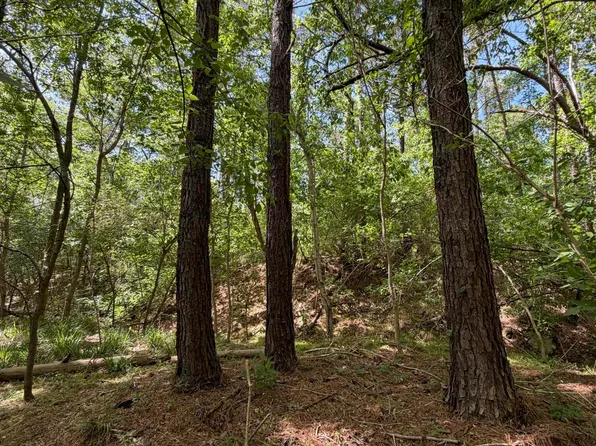 Old Taylors Ferry Rd, Parrish, AL 35580