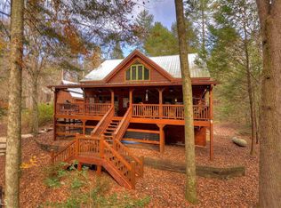 300 River Rd, Cherry Log, GA 30522