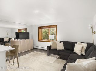 119 E Cooper Ave APT 25, Aspen, CO 81611