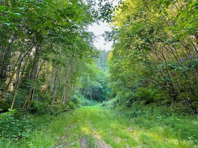 0 SR-4, Cathlamet, WA, 98612