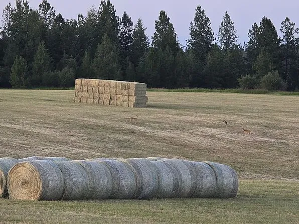 0 Benedict Rd, Winchester, ID 83555