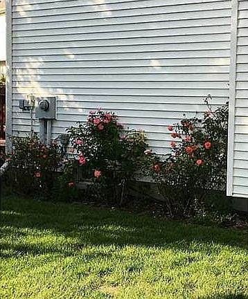 3rd image of 931 Little Creek Dr
