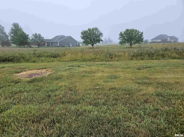 917 Ring Dr, Metamora, IL 61548