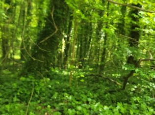 0 Watkins Glen Dr NE, Kennesaw, GA 30144