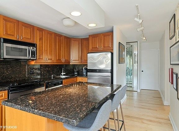4th image of 1455 N Sandburg Ter APT 202