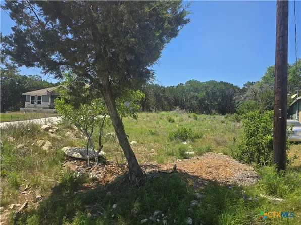 1199 Rimrock Cv, Spring Branch, TX 78070