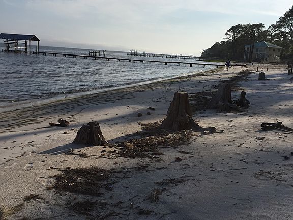 3rd image of 3132 Highway 98 E