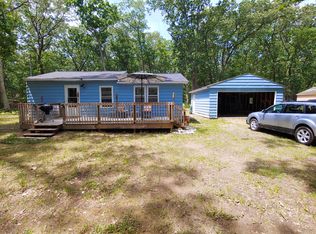 9729 S Rebecca Rd, Baldwin, MI 49304