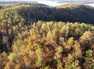 0 County Road 336, Annapolis, MO 63620