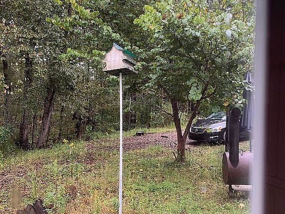 3rd image of 221 Cane Creek Dr