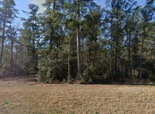 16 Coyote Run, New Waverly, TX 77358