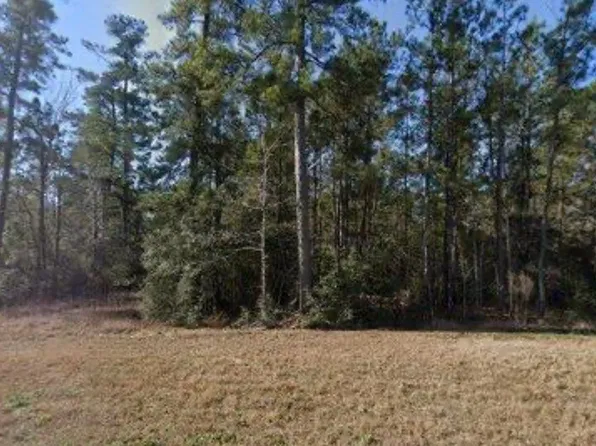 16 Coyote Run, New Waverly, TX 77358