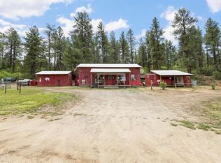 1199 & 1242 E Stollsteimer Rd, Pagosa Springs, CO 81147
