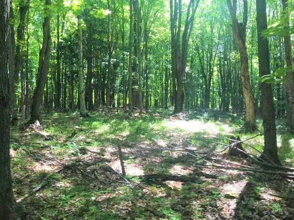 Near Poor Lake Rd, Watersmeet, MI 49969