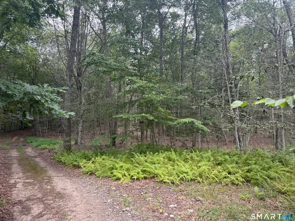 lot 29 Route 32 Route, Franklin, CT 06254