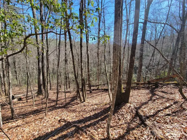20 Hummingbird Trl #F-2, Cullowhee, NC 28723