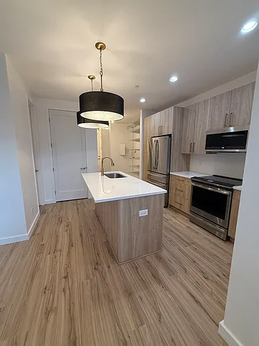 336 E 1st Ave #102 Photo 1