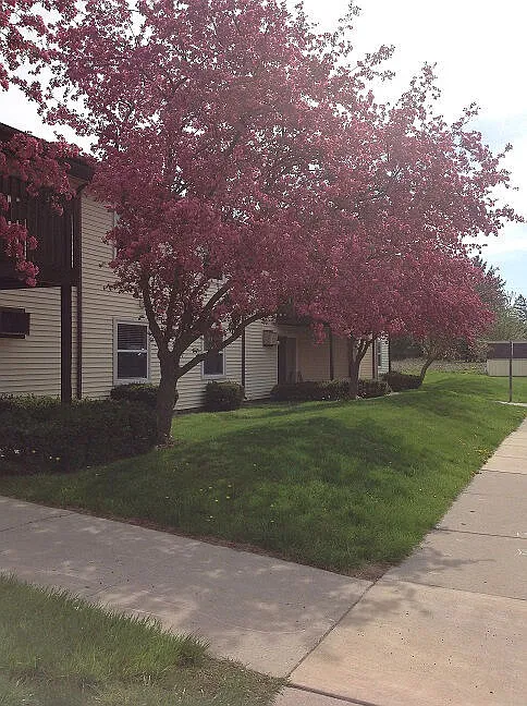 1 bed, $927 — Photo 1