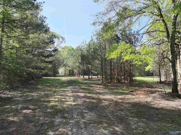 County Road 49, Tuskegee, AL 36083