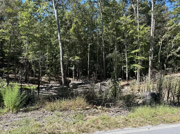533 Eagle Mountain Dr W, Ellijay, GA 30540
