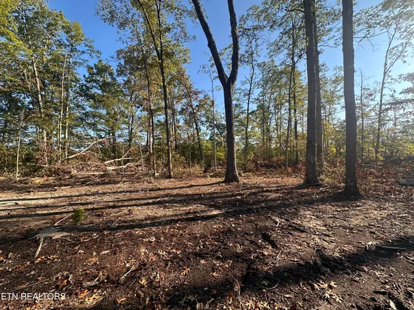 Government Pond Rd, Jamestown, TN 38556