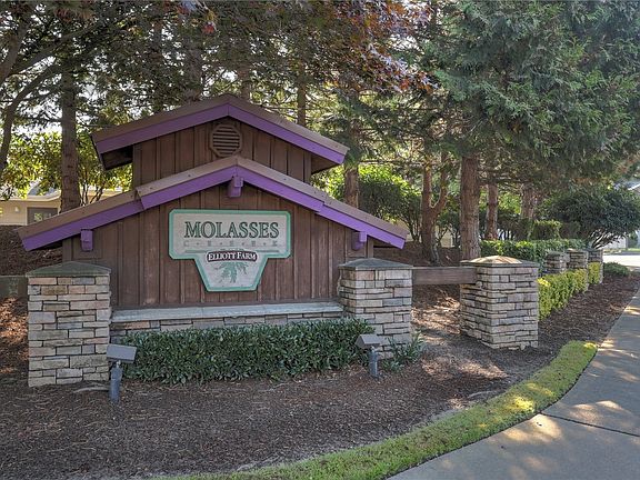 Welcome to Molasses Creek!>