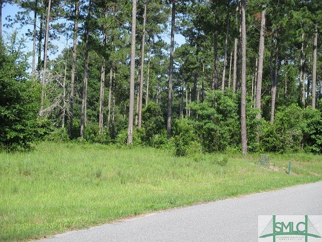 2nd image of Lot 143 Sapelo Park