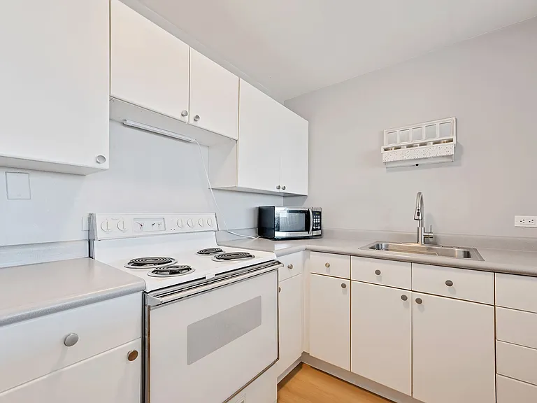 1636 N Wells St #1510 — Photo 9