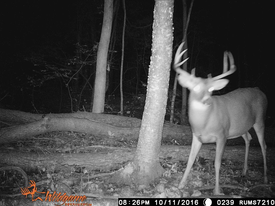 Trophy Class Hunting