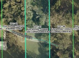 7289 CORNFLOWER ROAD, BROOKSVILLE, FL 34601