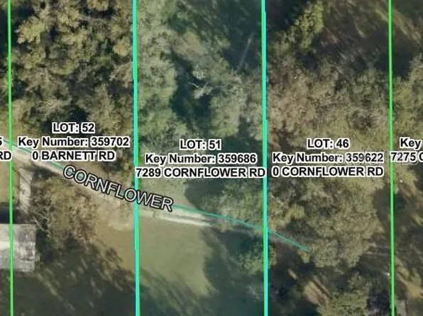 7289 CORNFLOWER ROAD, BROOKSVILLE, FL 34601