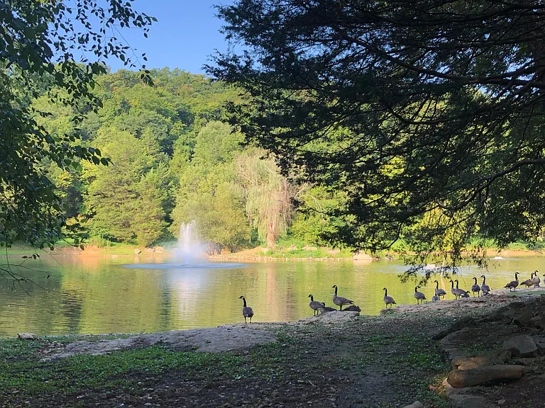 lake on property