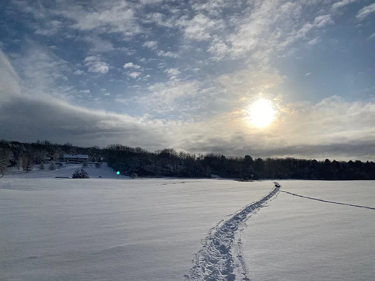 Cross-country in the field, looking back at the house
