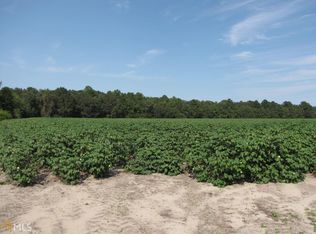 0 Mill Branch Club Rd, Pembroke, GA 31321