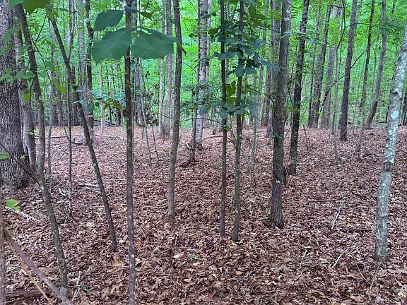 4th image of LOT 32 Pine Cone Ln