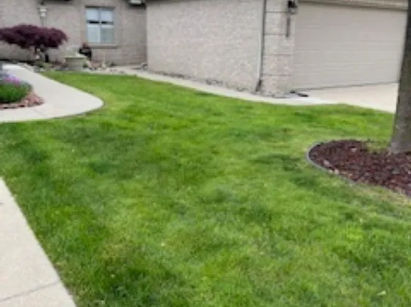 35283 Silver Maple Dr #38, Clinton Township, MI 48035