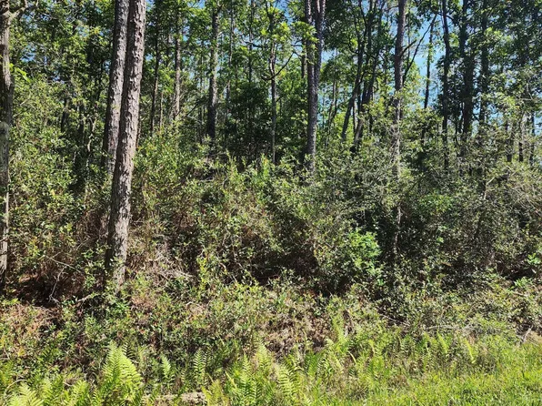 LOT 60 Drake Rd, Boiling Spring Lakes, NC 28461