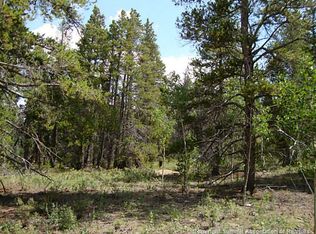 0 Coil Dr, Fairplay, CO 80440